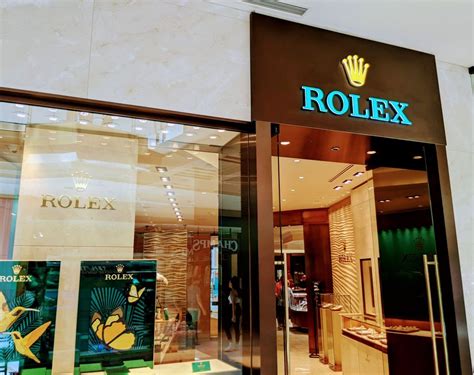 rolex dealers florida